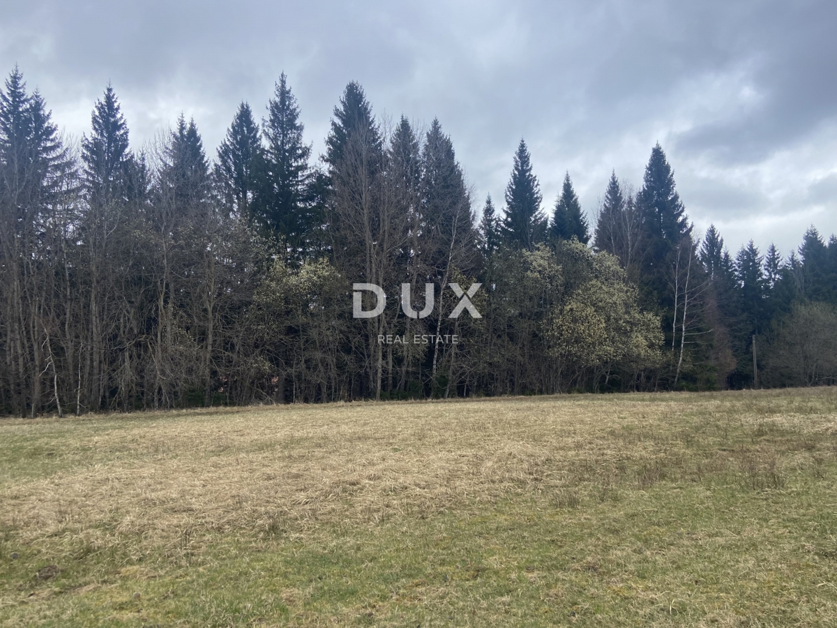 Terreno Kupjak, Ravna Gora, 8.200m2