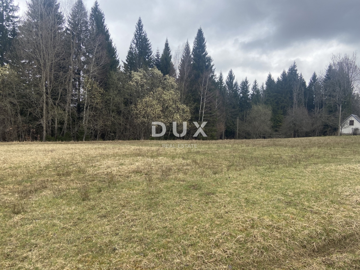 Terreno Kupjak, Ravna Gora, 8.200m2