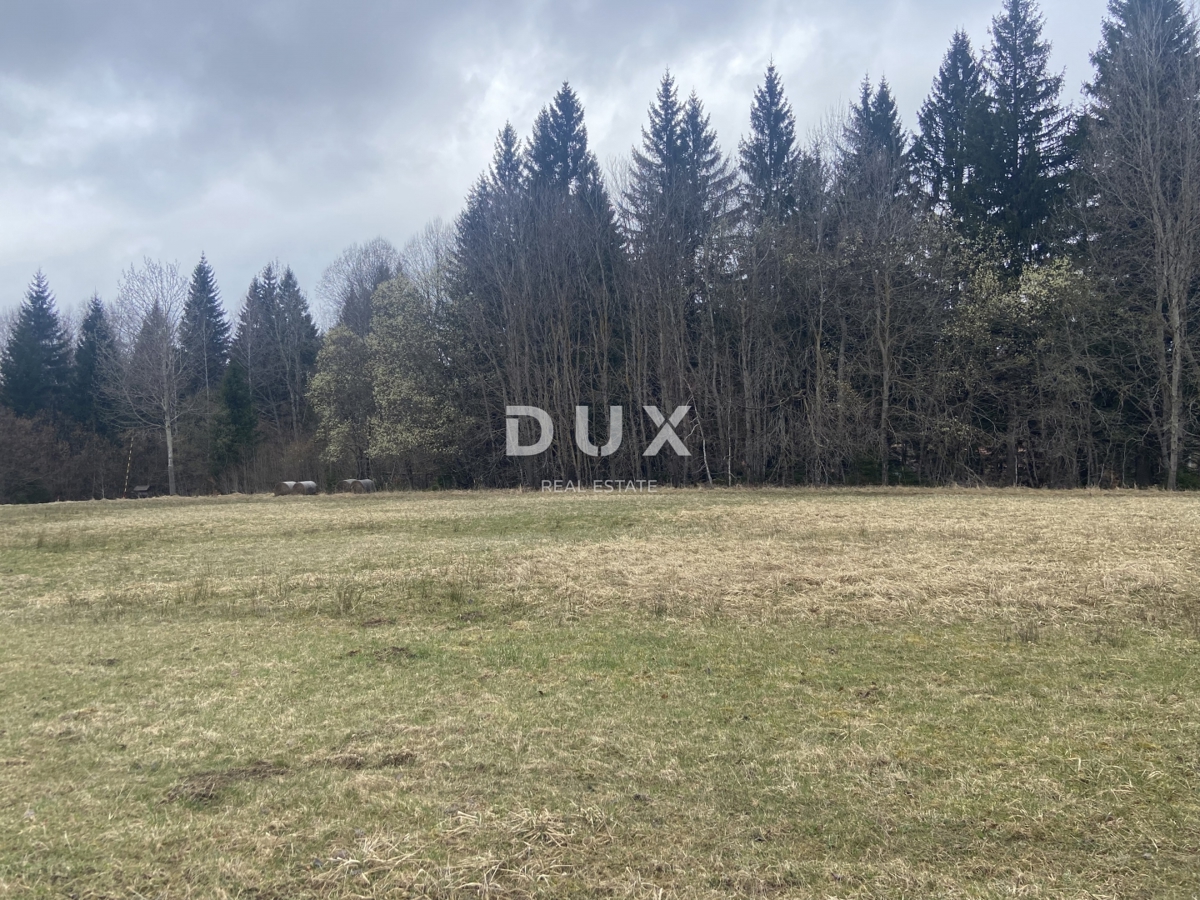 Terreno Kupjak, Ravna Gora, 8.200m2