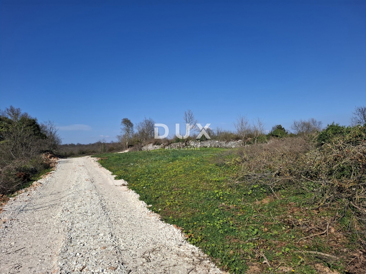 ISTRIA, JURŠIĆI - Terreno agricolo arabile vicino al villaggio