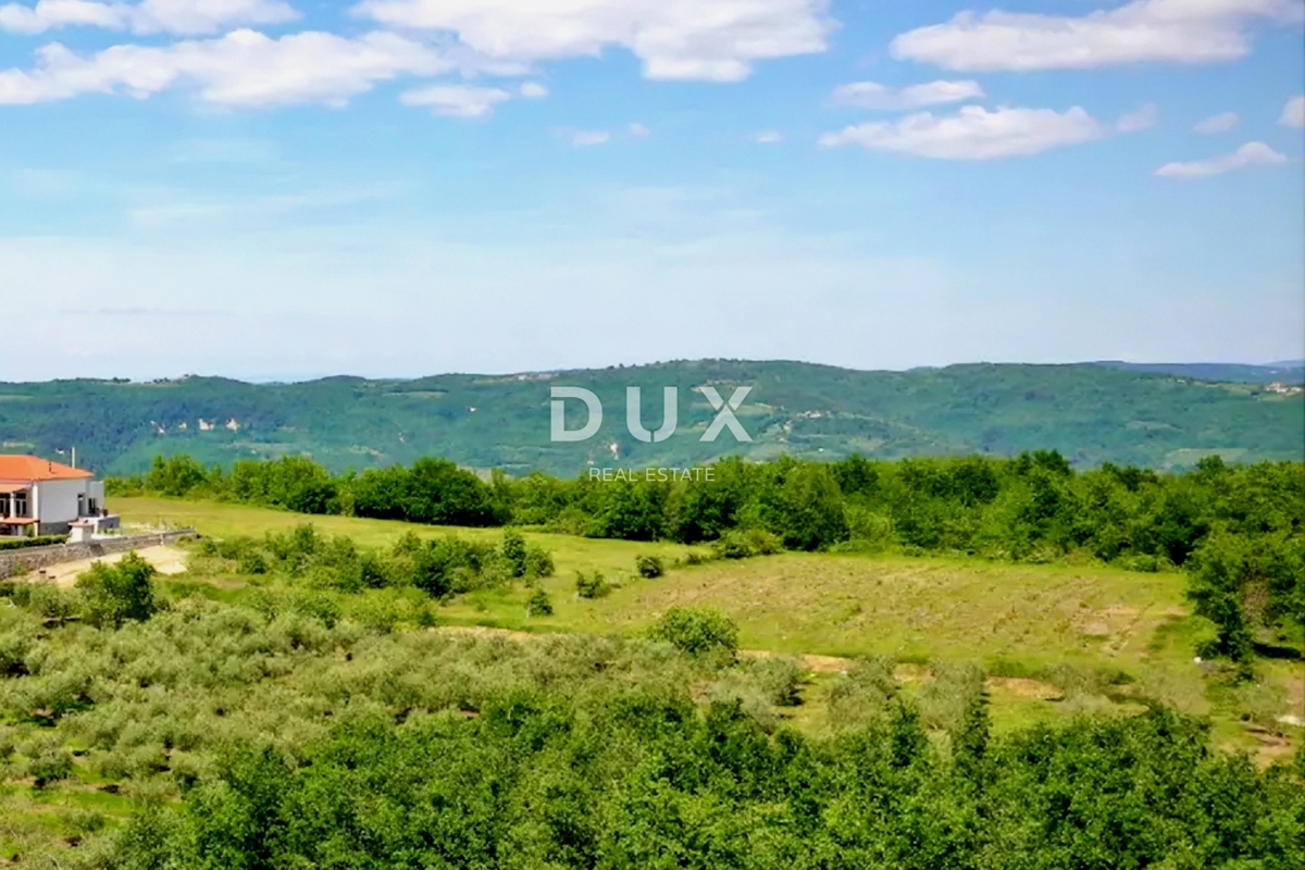 ISTRIA, VIŽINADA - Terreno adibito a uso misto edilizio e agricolo