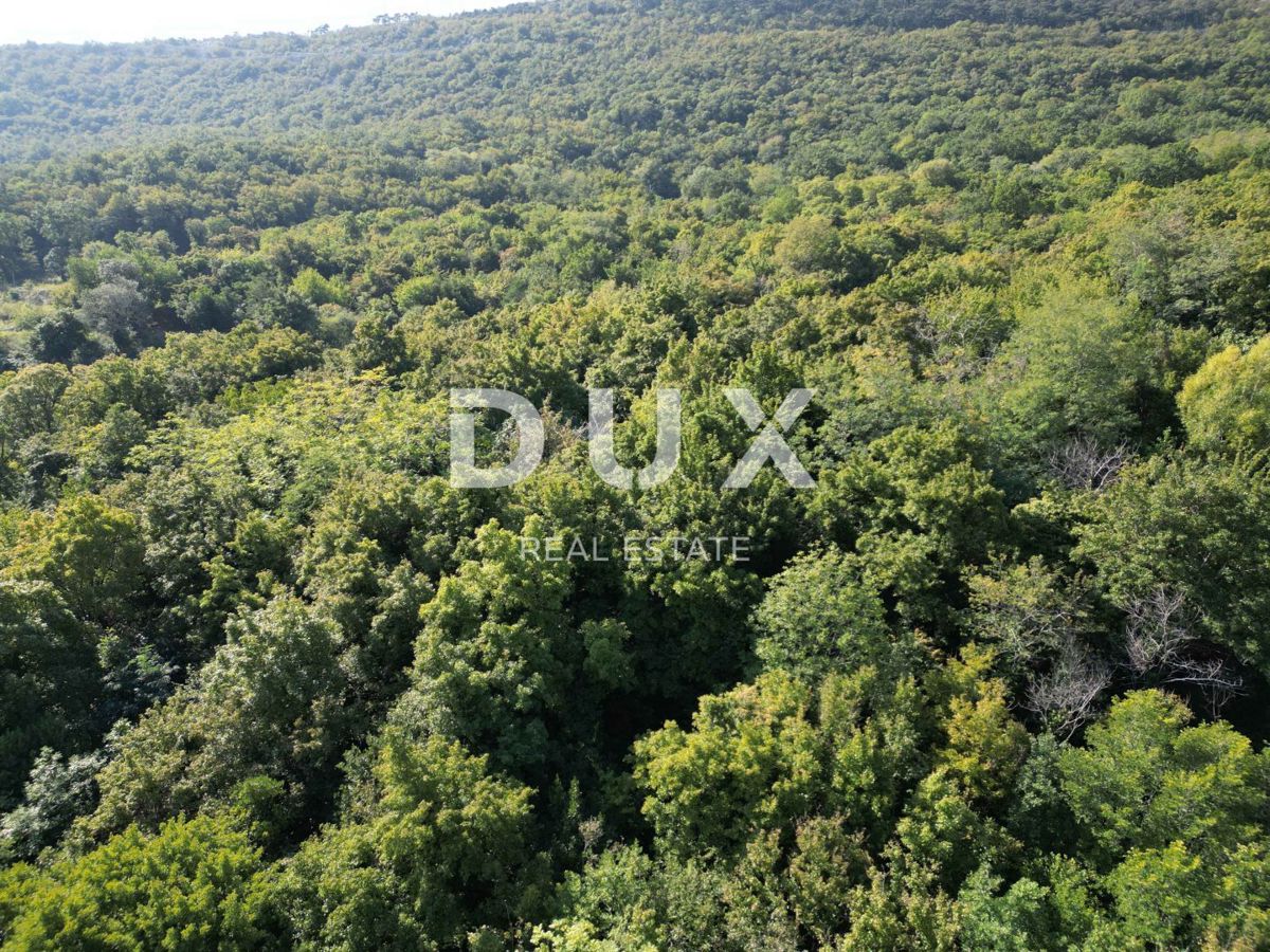 BAKAR, CENTRO - terreno edificabile nel cuore di Bakar, 1.300 m2 con vista mare, ideale per la costruzione di un edificio residenziale - appartamenti / casa unifamiliare / villa! UN'OCCASIONE IMPERDIBILE!