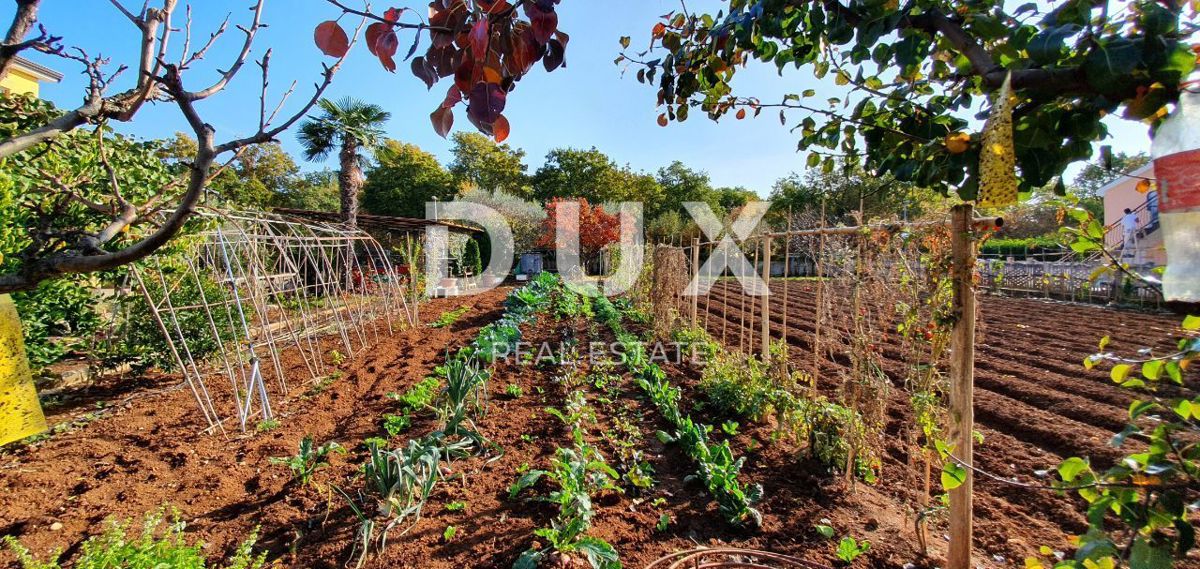 ISTRIA, POREČ - Palazzo condominiale con 5 unità abitative