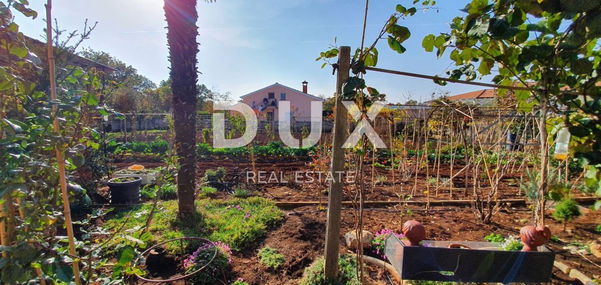 ISTRIA, POREČ - Palazzo condominiale con 5 unità abitative