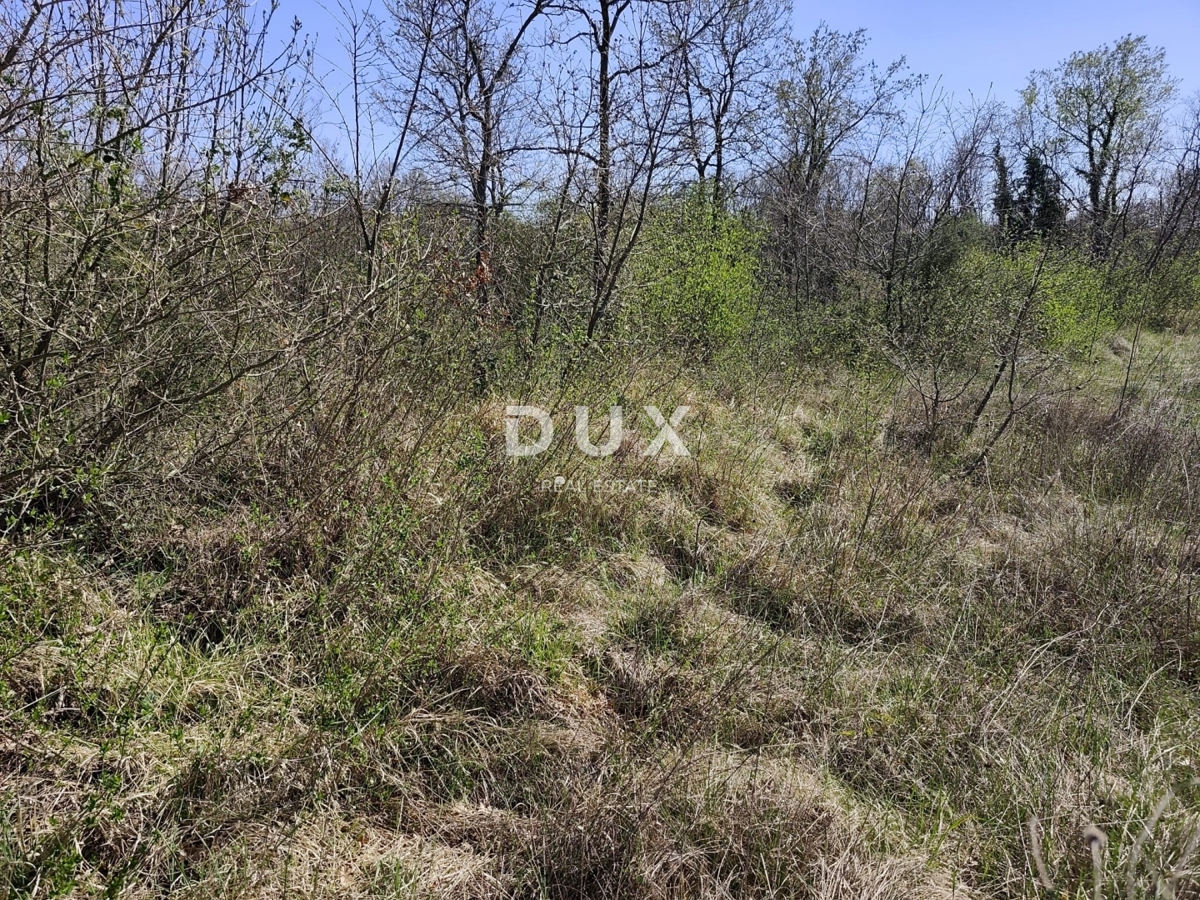 ISTRIA, MARČANA - Progetto di prestigio per una casa a un solo piano con piscina