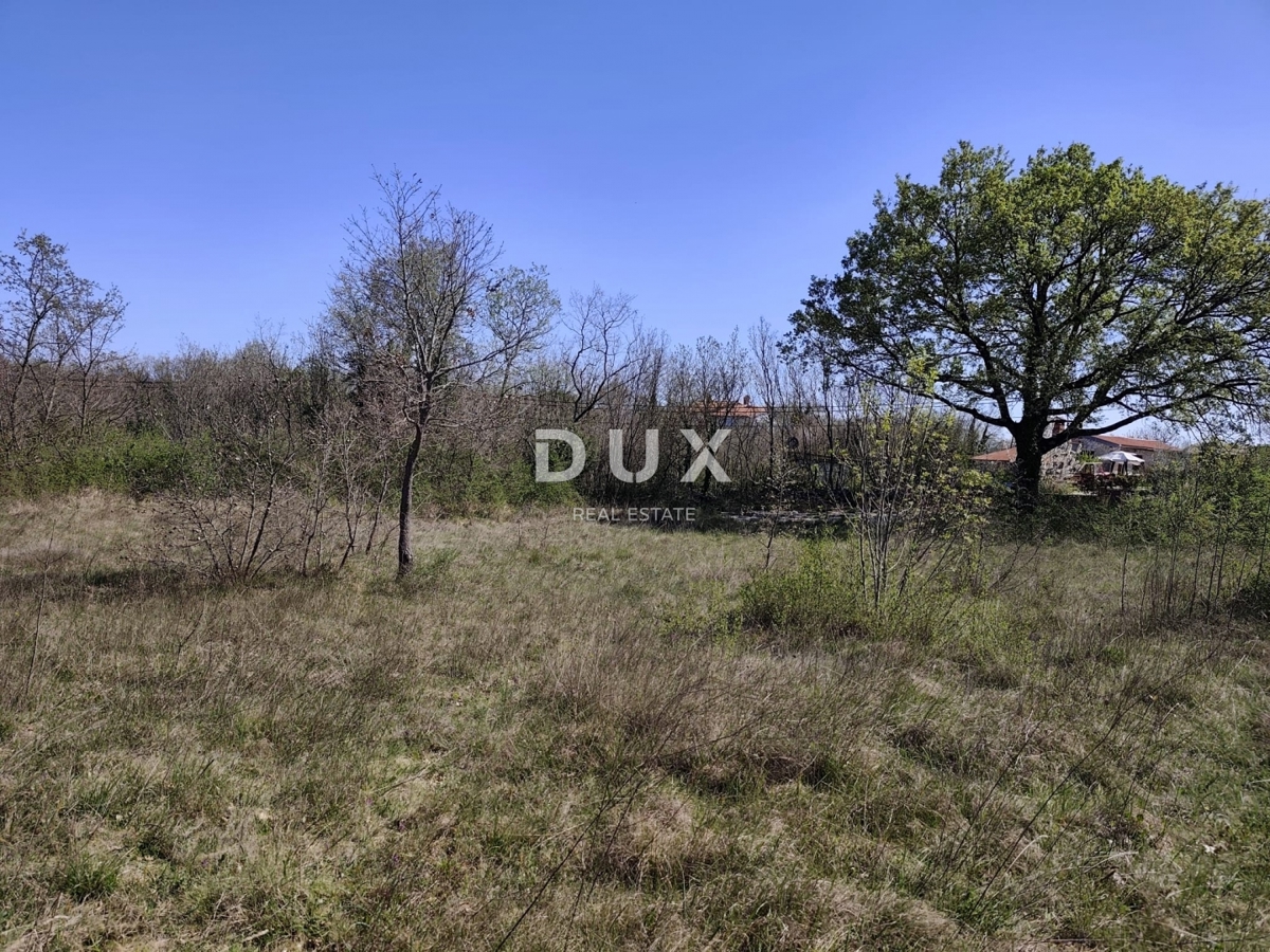 ISTRIA, MARČANA - Progetto di prestigio per una casa a un solo piano con piscina