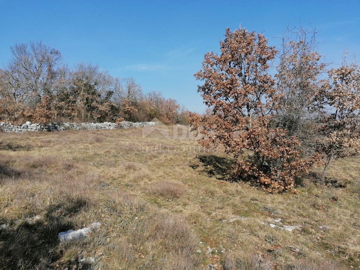 Terreno Sveti Ivan, Višnjan, 44.600m2