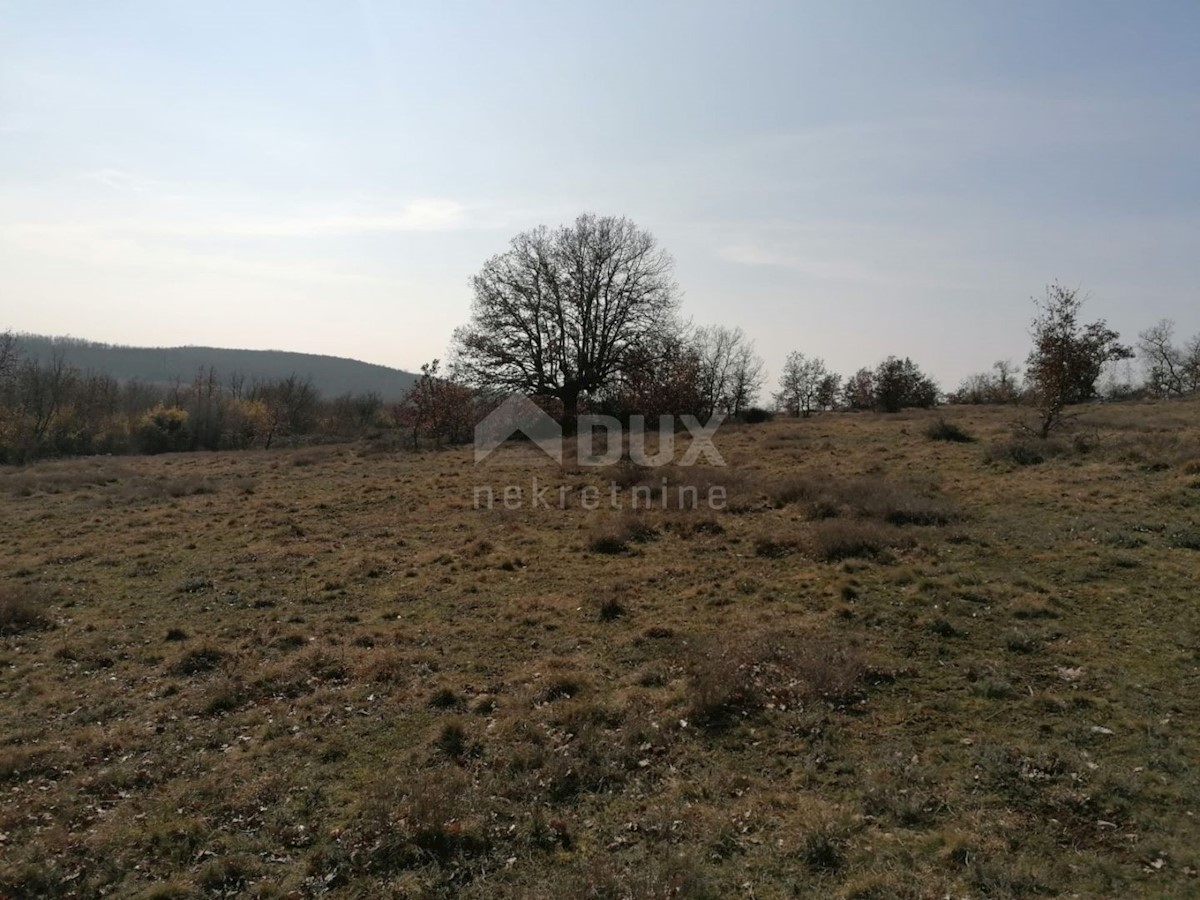 Terreno Sveti Ivan, Višnjan, 44.600m2