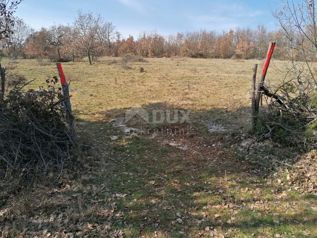 Terreno Sveti Ivan, Višnjan, 44.600m2