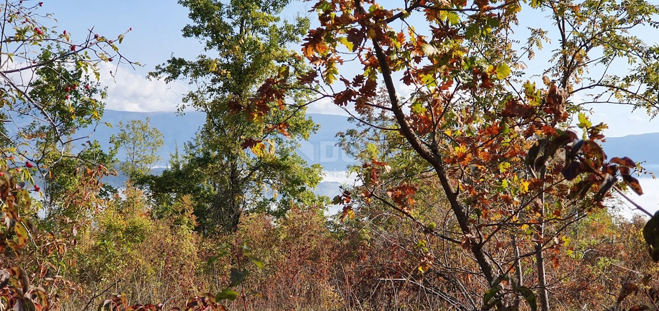 Terreno Pićan, 52.800m2