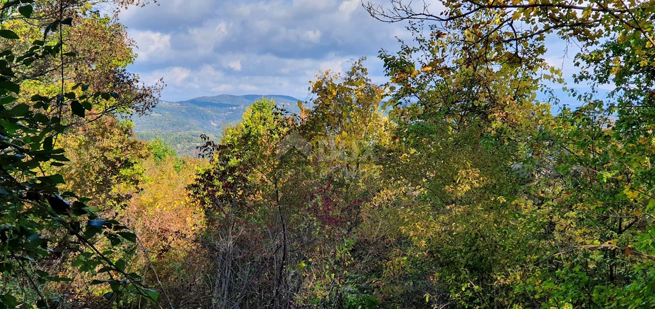 Terreno Pićan, 52.800m2