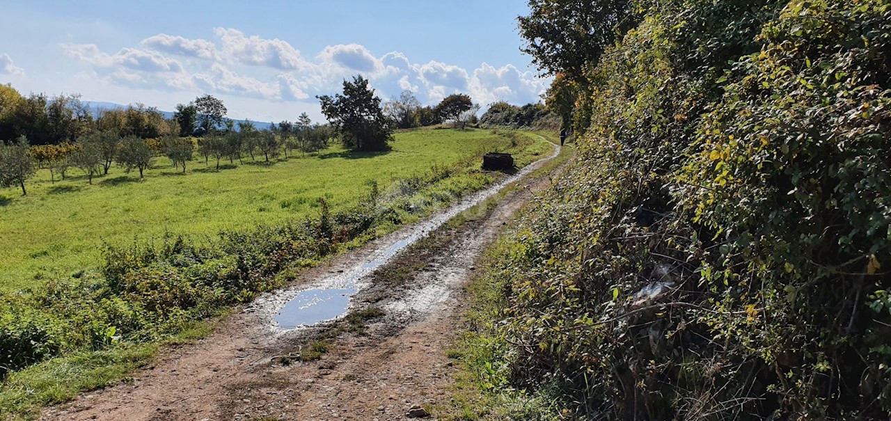 Terreno Pićan, 52.800m2