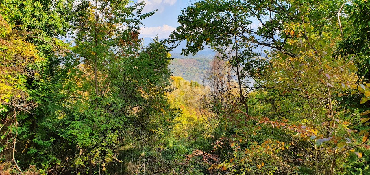 Terreno Pićan, 52.800m2