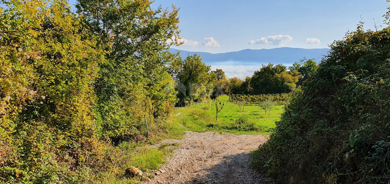 Terreno Pićan, 52.800m2