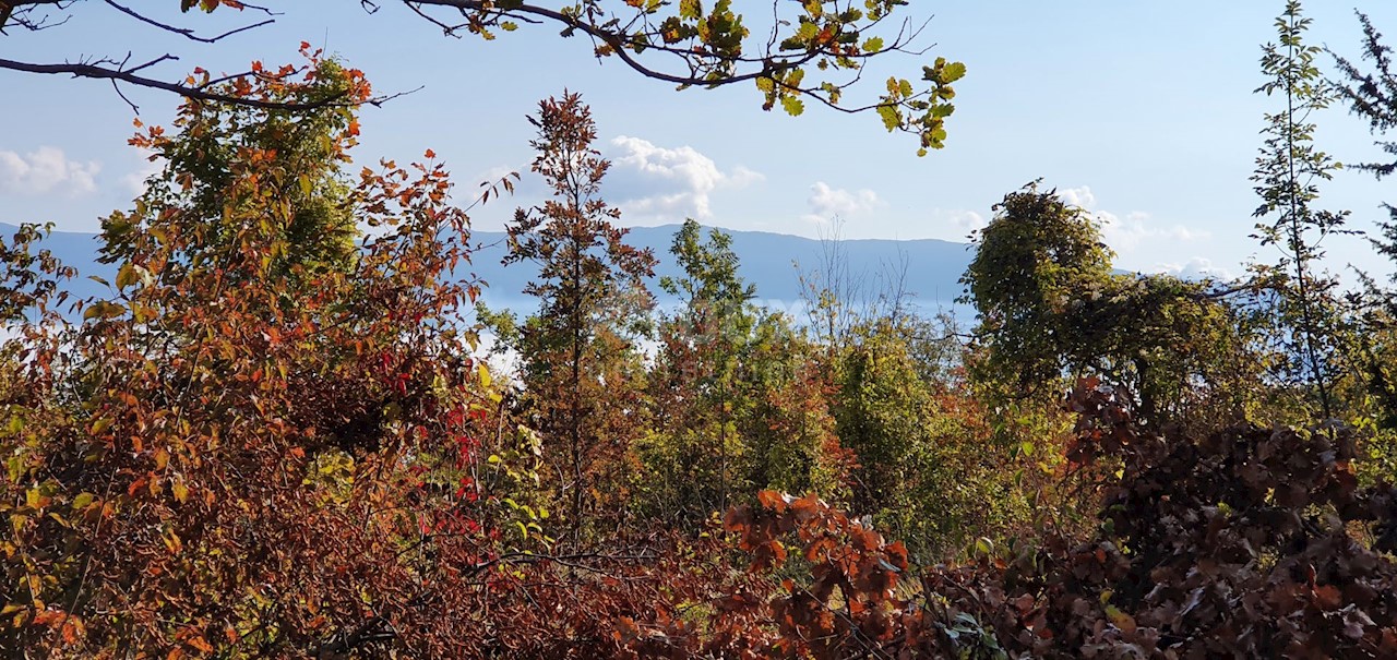 Terreno Pićan, 52.800m2