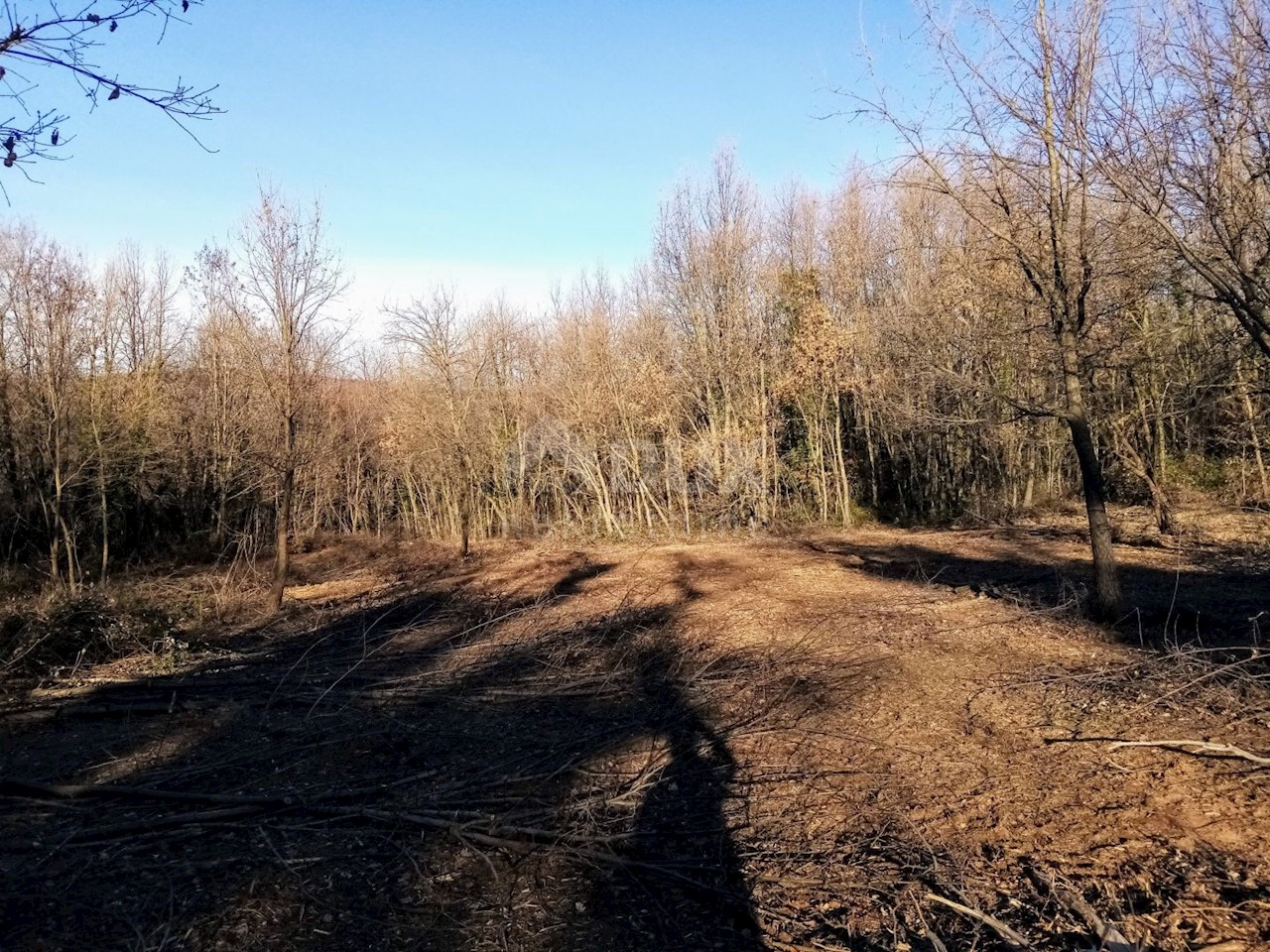 Terreno Ružići, Sveta Nedelja, 5.697m2