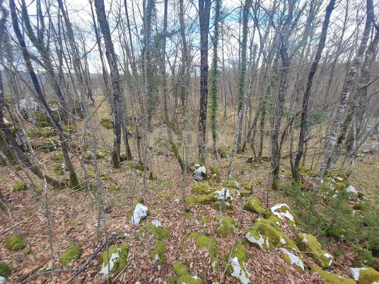Terreno Permani, Matulji, 1.640m2
