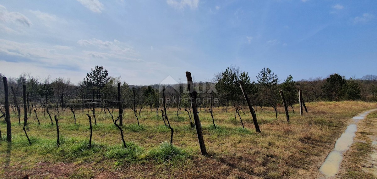 Terreno Gračišće, 50.860m2