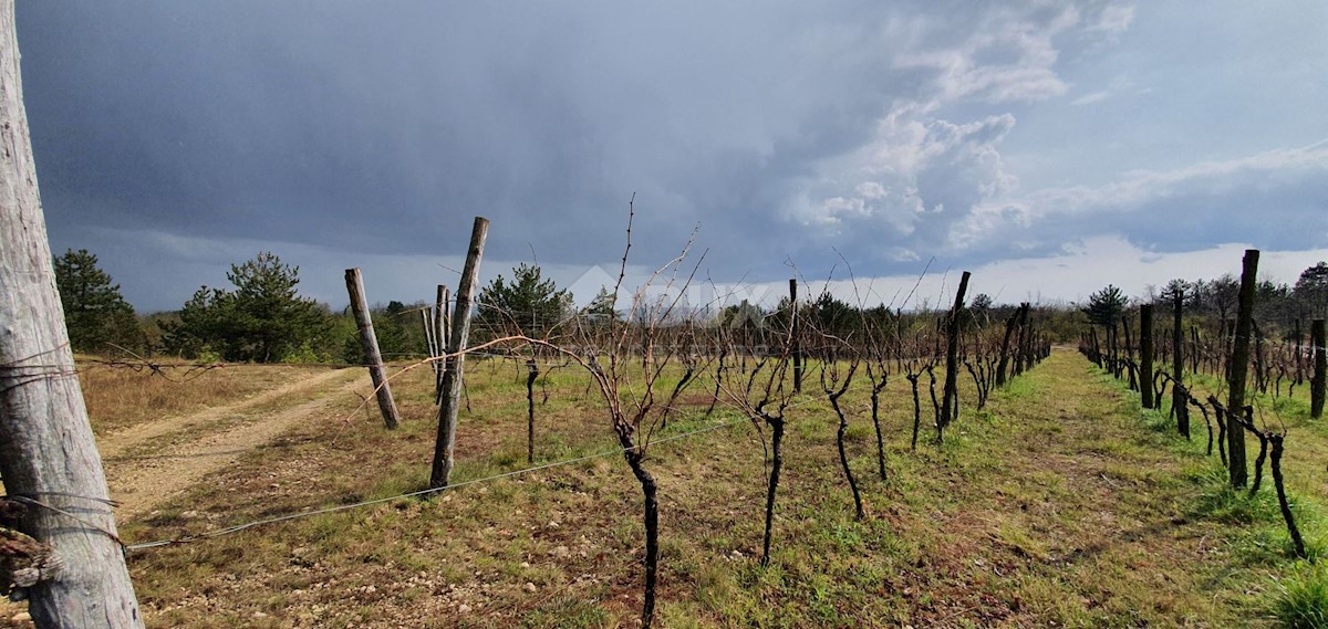 Terreno Gračišće, 50.860m2