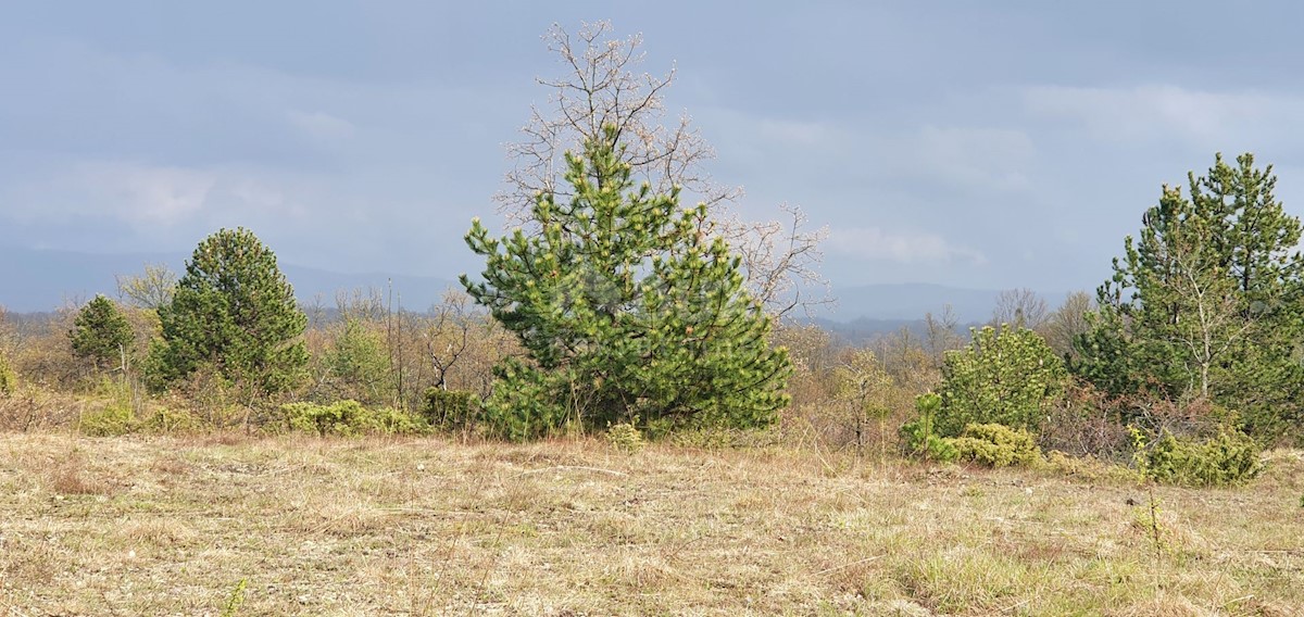 Terreno Gračišće, 50.860m2