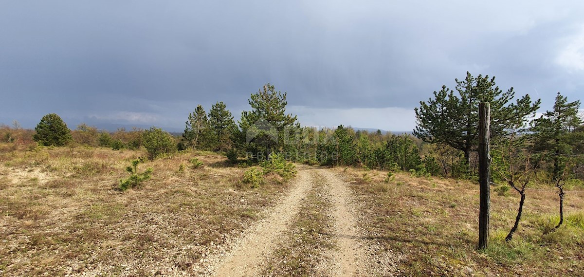 Terreno Gračišće, 50.860m2