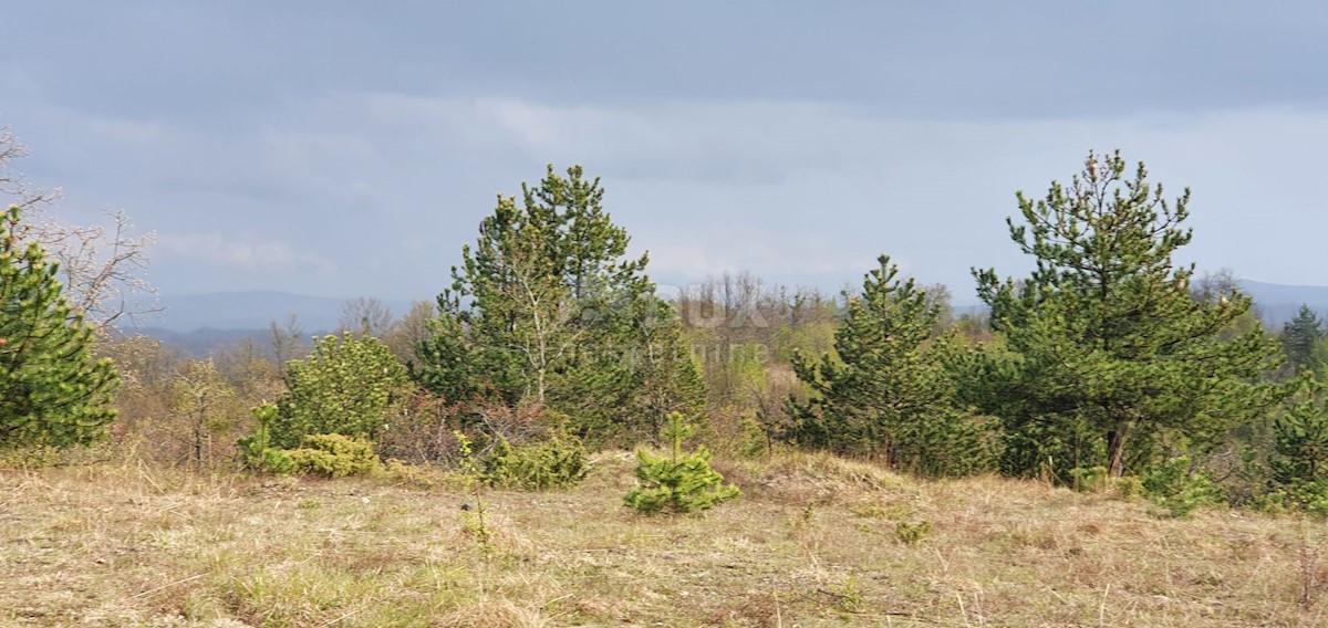 Terreno Gračišće, 50.860m2