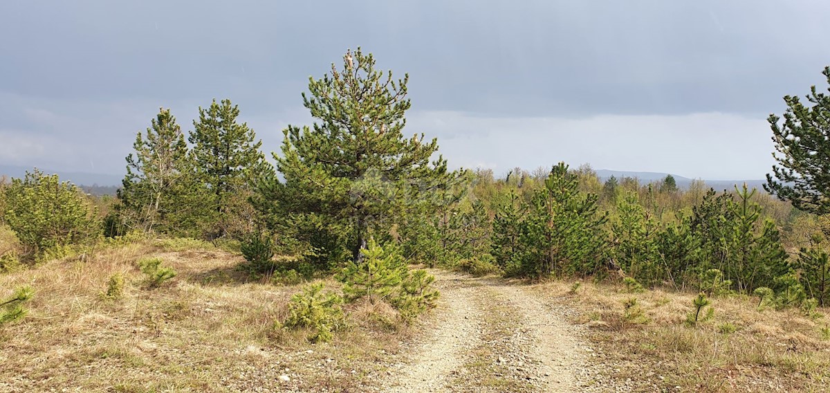 Terreno Gračišće, 50.860m2