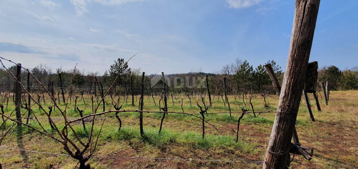 Terreno Gračišće, 50.860m2