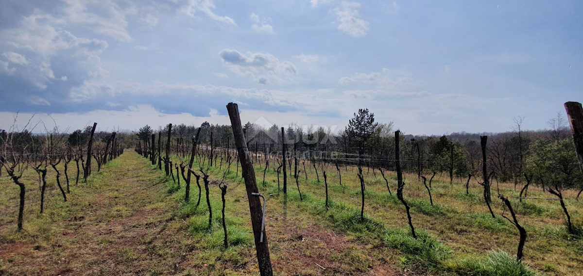 Terreno Gračišće, 50.860m2