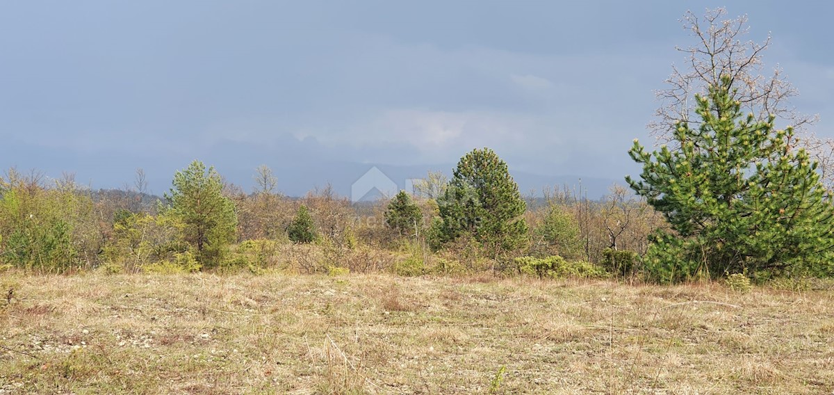 Terreno Gračišće, 50.860m2