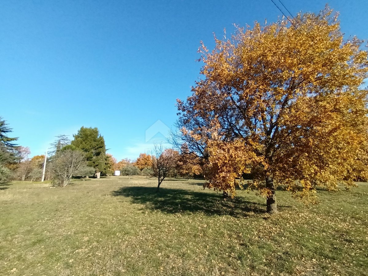 Terreno Črvar, Poreč, 1.489m2