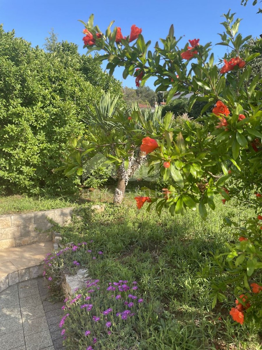 ISTRIA, VILLAGGIO DI ROVIGNO - Bella casa con vista sul mare aperto