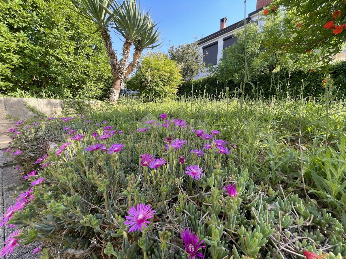 ISTRIA, VILLAGGIO DI ROVIGNO - Bella casa con vista sul mare aperto