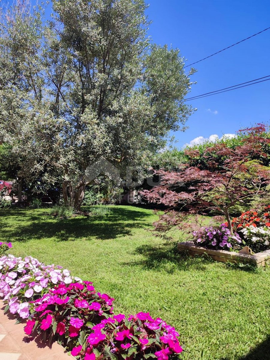 ISTRIA, POMER Interessante casa con quattro appartamenti!