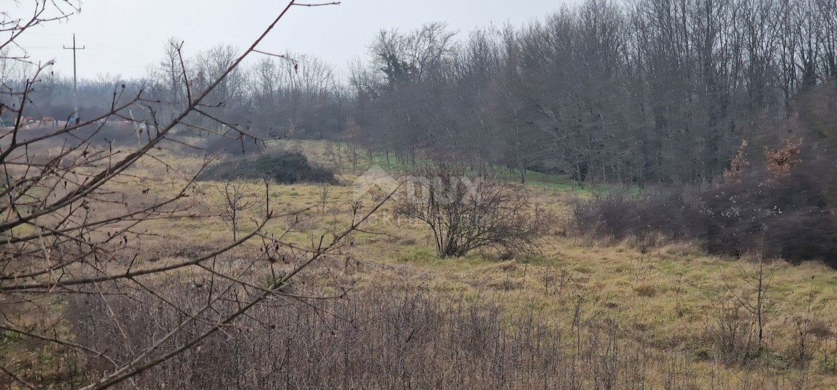 Terreno Sveti Petar u Šumi, Sveti Petar U Šumi, 7.970m2