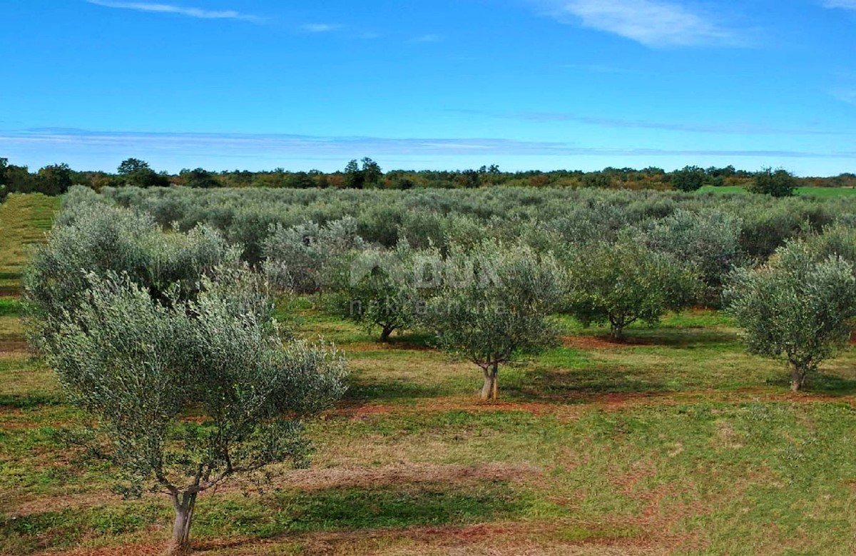 Terreno Poreč, 17.136m2