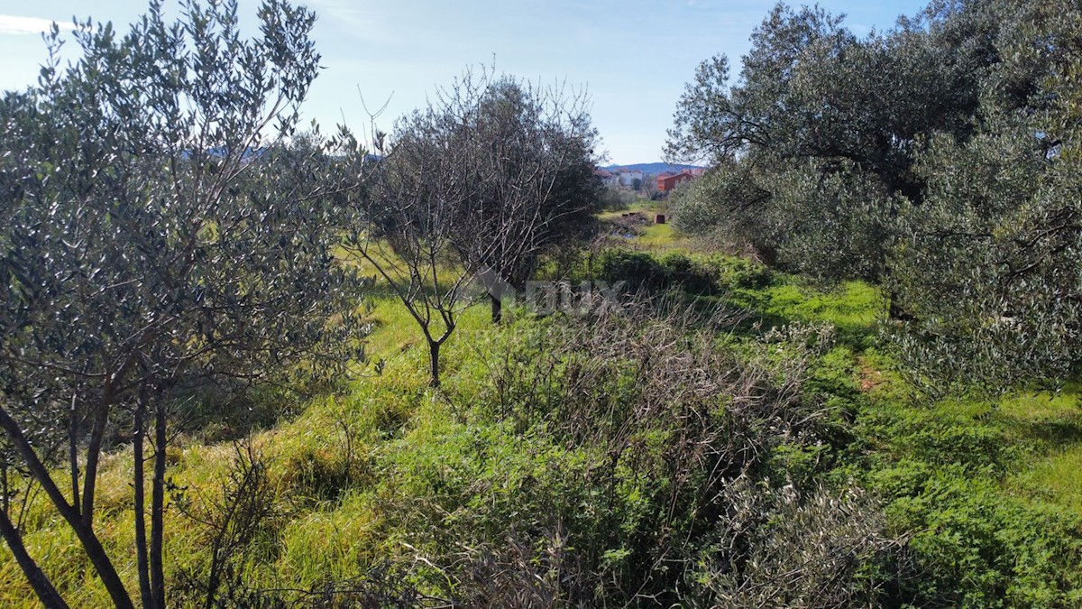 Terreno Bibinje, 794m2