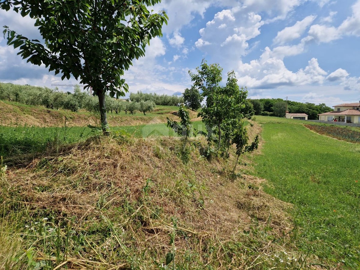 ISTRIA, BARBAN - Terreno edificabile con vista aperta sul verde