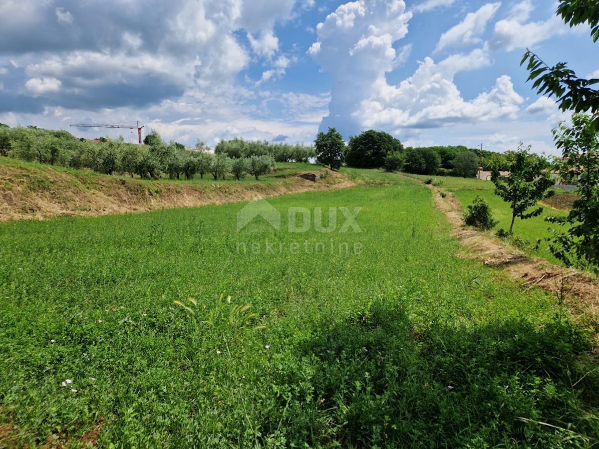 ISTRIA, BARBAN - Terreno edificabile con vista aperta sul verde