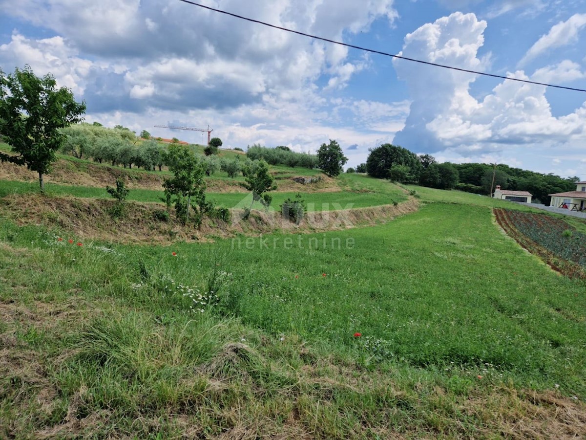 ISTRIA, BARBAN - Terreno edificabile con vista aperta sul verde