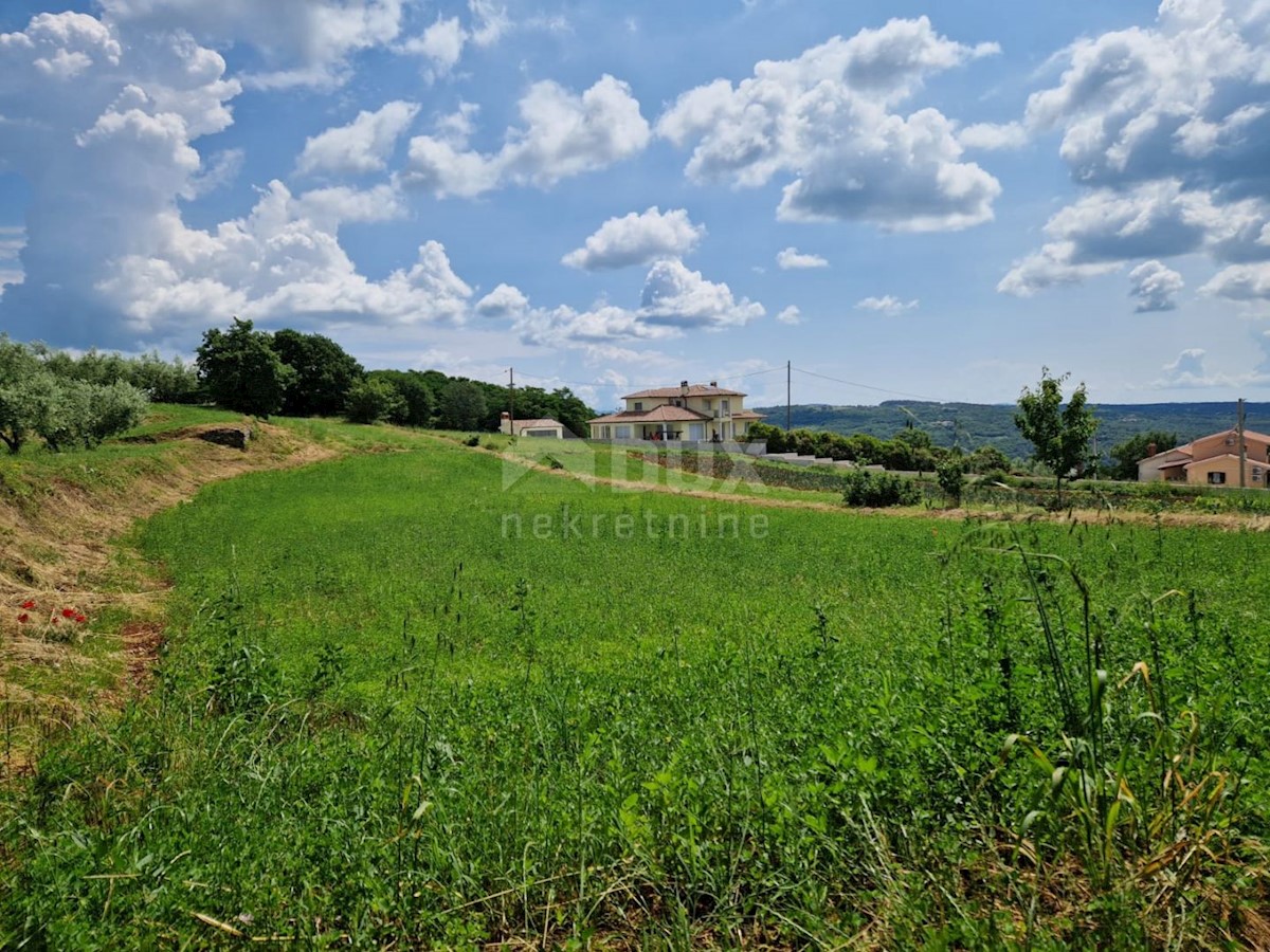 ISTRIA, BARBAN - Terreno edificabile con vista aperta sul verde