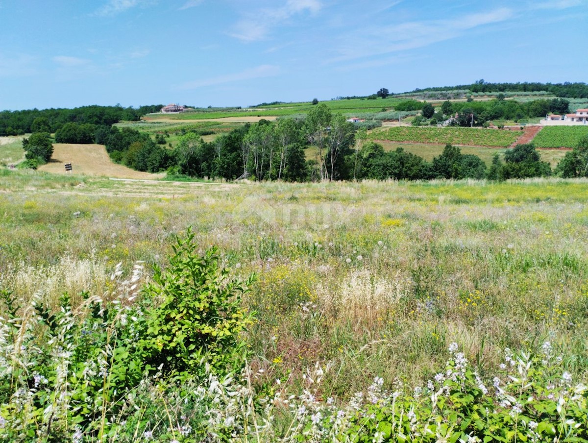 Terreno Vižinada, 755m2