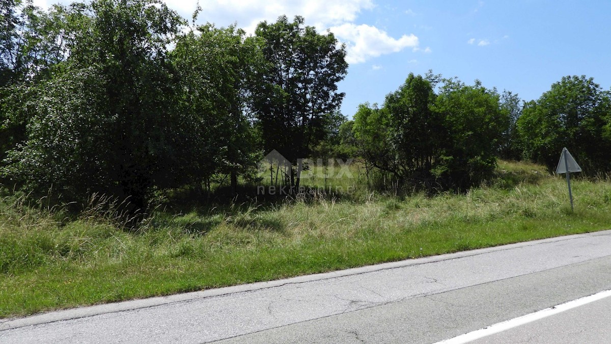 MATULJI, RUPA, LIPA - terreno edificabile di 5021m2 per un corridoio