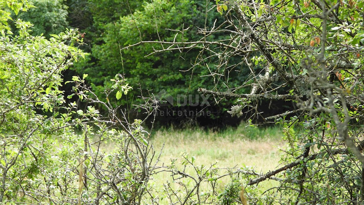 MATULJI, RUPA, LIPA - terreno edificabile di 5021m2 per un corridoio