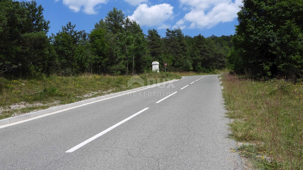 MATULJI, RUPA, LIPA - terreno edificabile di 5021m2 per un corridoio