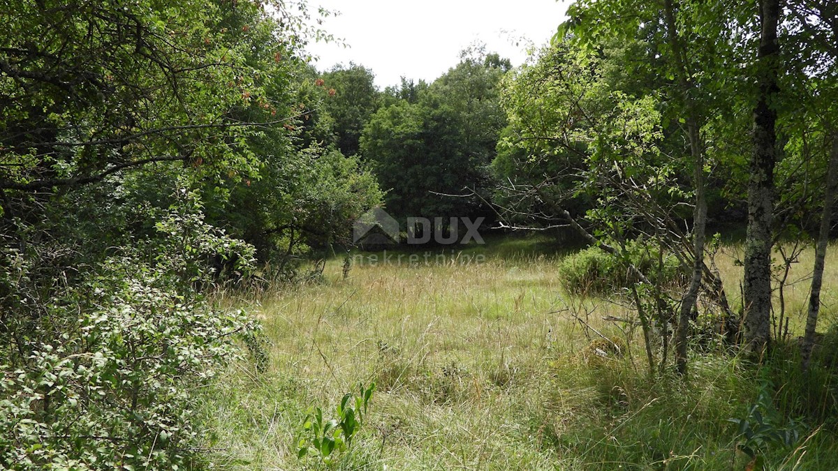 MATULJI, RUPA, LIPA - terreno edificabile di 5021m2 per un corridoio