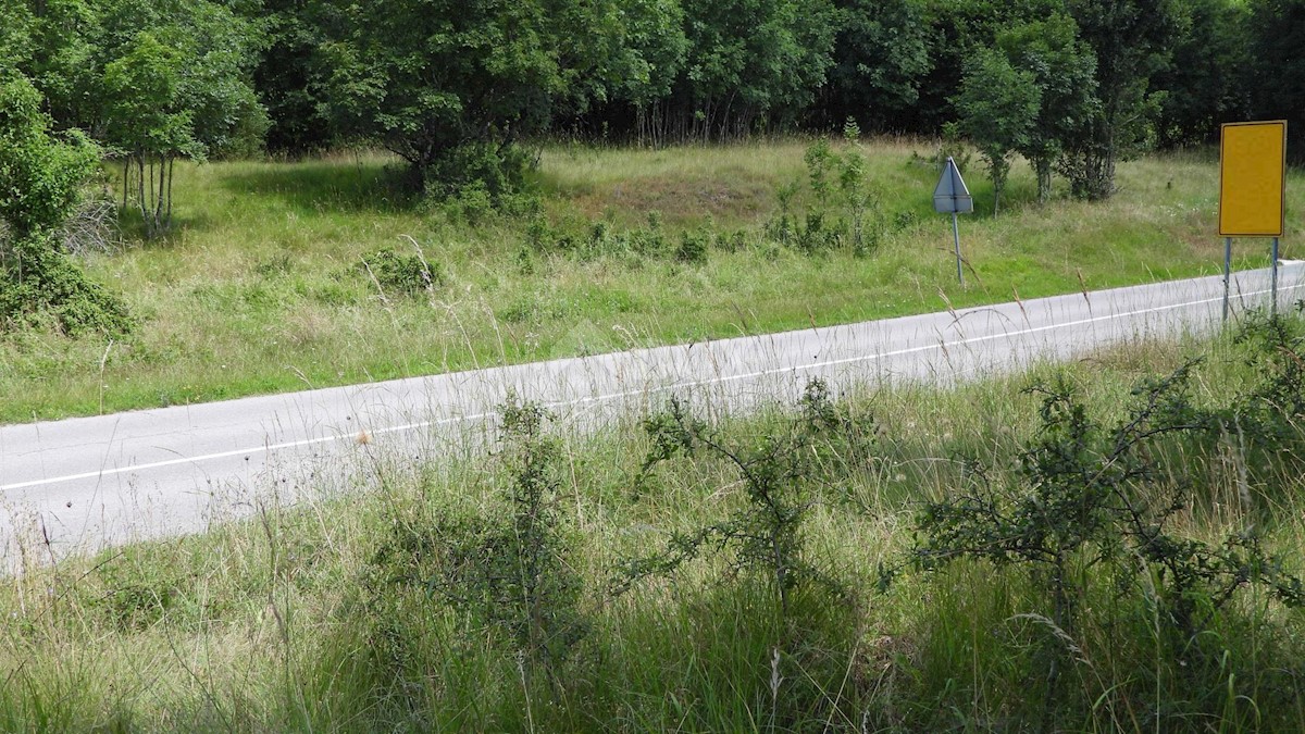 MATULJI, RUPA, LIPA - terreno edificabile di 5021m2 per un corridoio