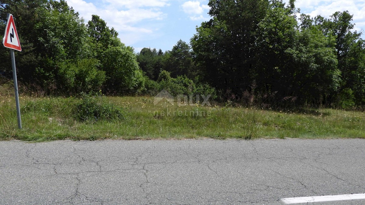 MATULJI, RUPA, LIPA - terreno edificabile di 5021m2 per un corridoio