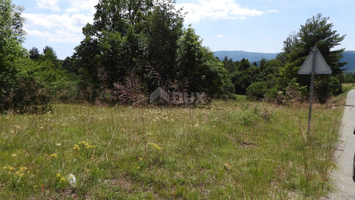 MATULJI, RUPA, LIPA - terreno edificabile di 5021m2 per un corridoio