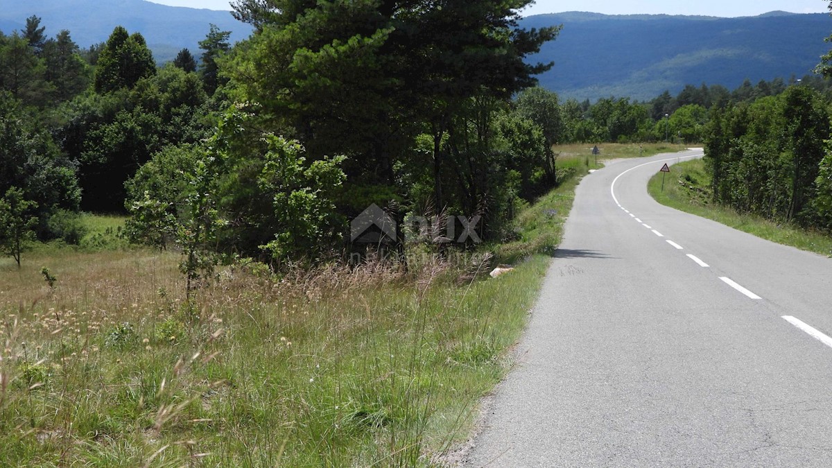 MATULJI, RUPA, LIPA - terreno edificabile di 5021m2 per un corridoio